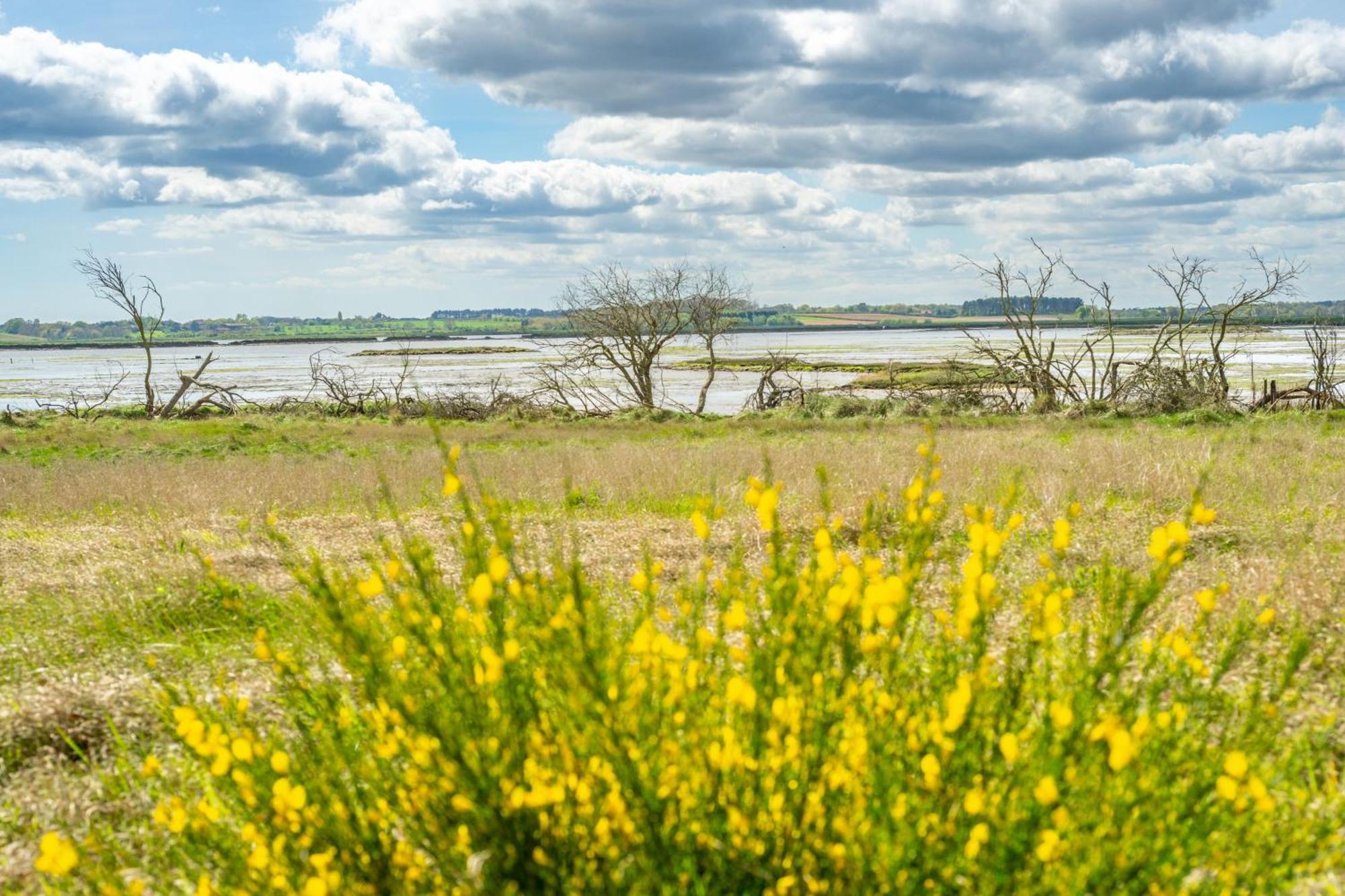 Marsh View Villa Aldeburgh Buitenkant foto